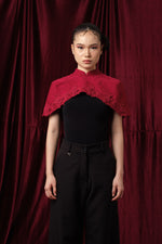 Load image into Gallery viewer, Zappi Official - Lan Cape