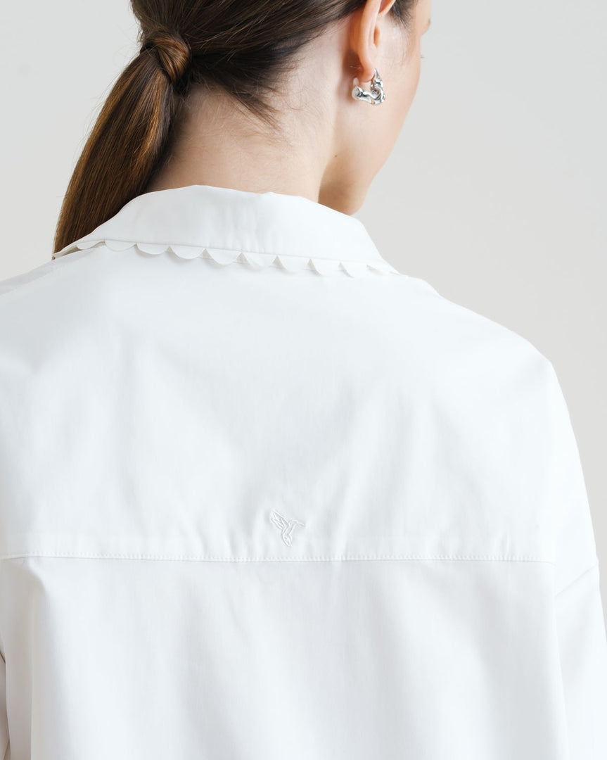 Zappi Studio - Aria Set